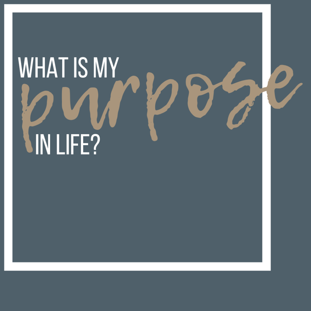 What is my purpose in life?