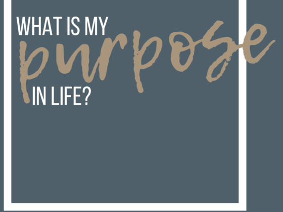 What is my purpose in life?